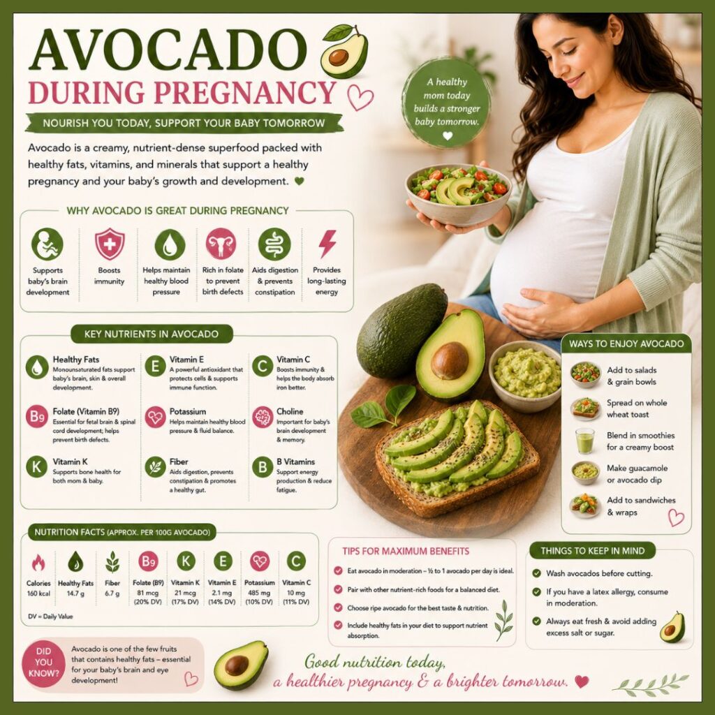 Avocado